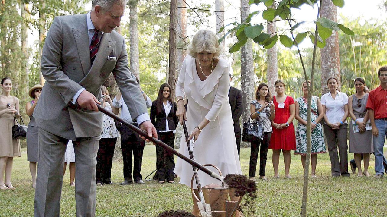 Prinz Charles und Gattin Camilla pflanzen einen Baum