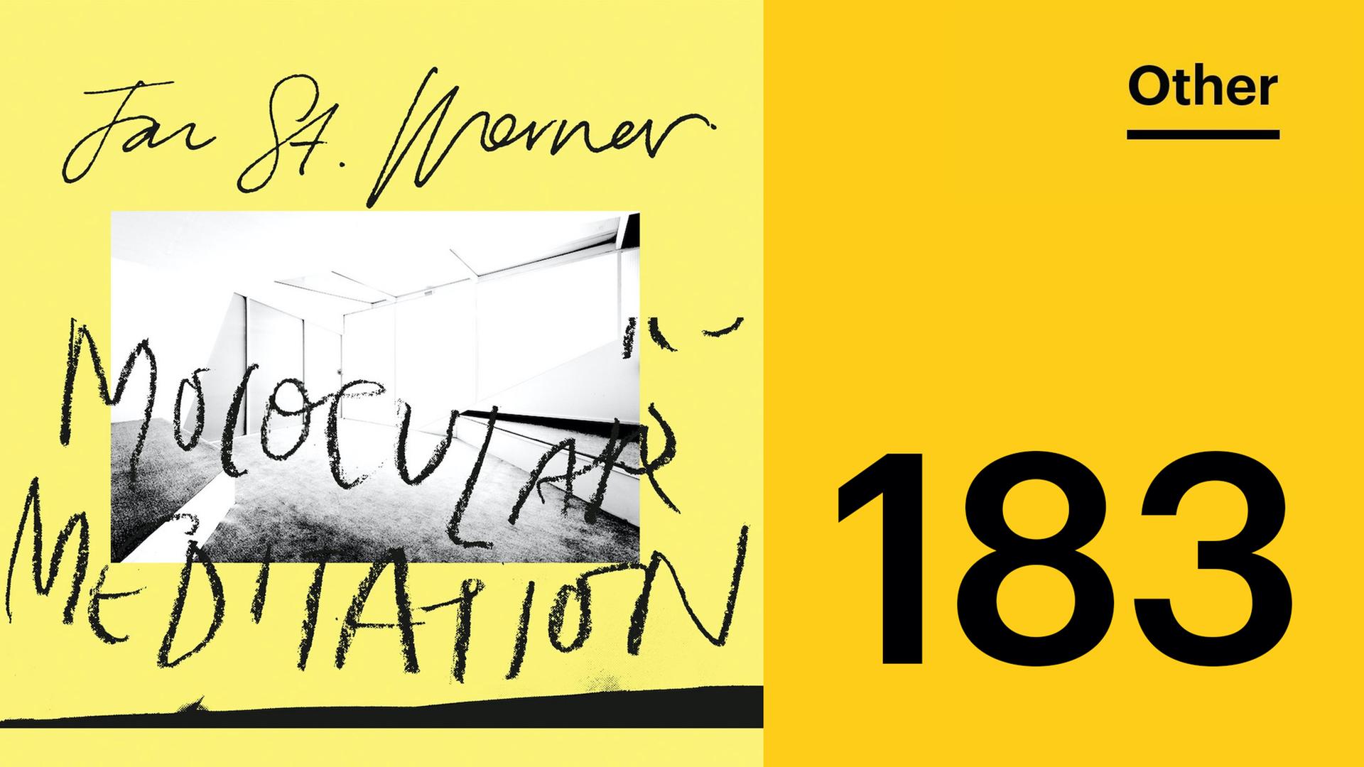 Fundstück 183 Jan St. Werner (feat. Mark E. Smith) VS Cancelled