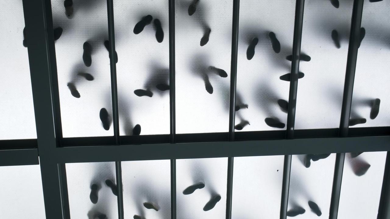 Auf dem Bild schaut man nach oben auf die Fußsohlen von vielen Menschen, die auf einem Glasboden stehen. Auf dem Bild schaut man nach oben auf die Fußsohlen von vielen Menschen, die auf einem Glasboden stehen.