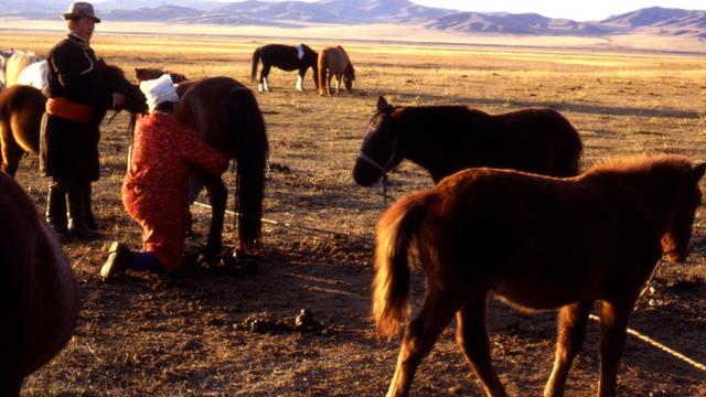 Mongolen mit ihren Ponys