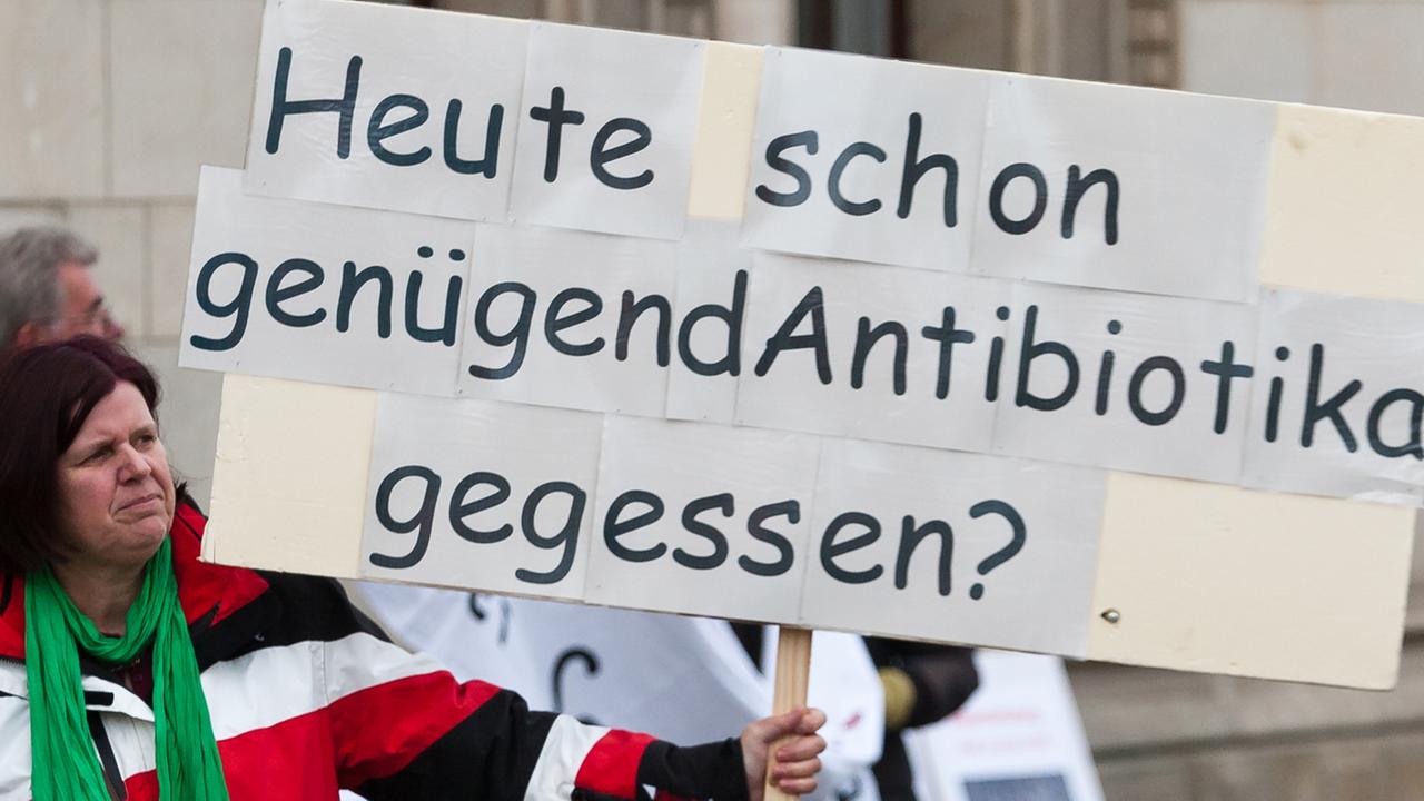Mit Plakaten gegen Massentierhaltung und Tierquälerei demonstrieren Vertreter mehrerer Bürgerinitiativen am Freitag (25.11.2011) in Hannover am niedersächsischen Landwirtschaftsministerium. Mit Plakaten gegen Massentierhaltung und Tierquälerei demonstrieren Vertreter mehrerer Bürgerinitiativen am Freitag (25.11.2011) in Hannover am niedersächsischen Landwirtschaftsministerium.