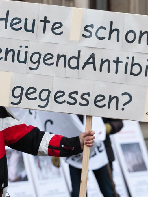 Mit Plakaten gegen Massentierhaltung und Tierquälerei demonstrieren Vertreter mehrerer Bürgerinitiativen am Freitag (25.11.2011) in Hannover am niedersächsischen Landwirtschaftsministerium.