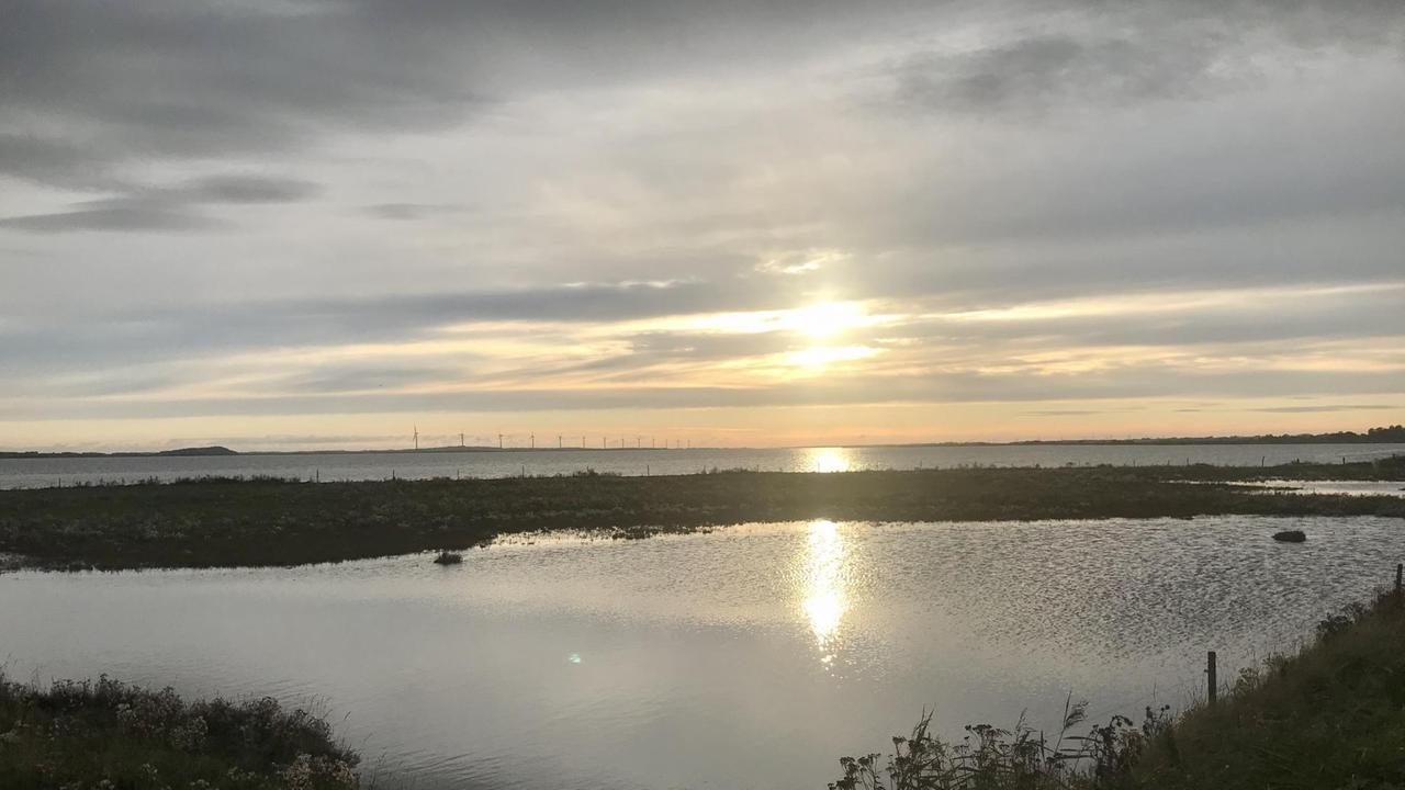 Romantischer Sonnenuntergang am einem See mit Grün drumrum. Romantischer Sonnenuntergang am einem See mit Grün drumrum.
