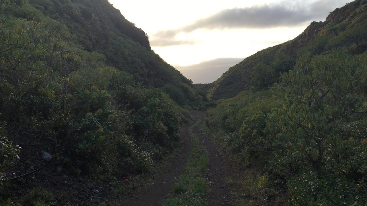 Das Barranco - eine Schlucht auf La Palma Das Barranco - eine Schlucht auf La Palma