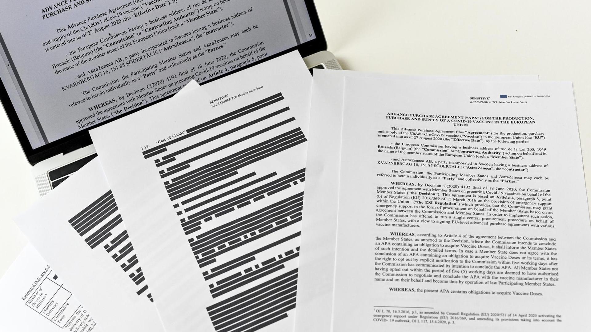 Vor einem aufgeklappten Laptop sind mehrere Blätter Papier ausgelegt. Auf diesen sind viele Textstellen durch Balken geschwärzt. Vor einem aufgeklappten Laptop sind mehrere Blätter Papier ausgelegt. Auf diesen sind viele Textstellen durch Balken geschwärzt.
