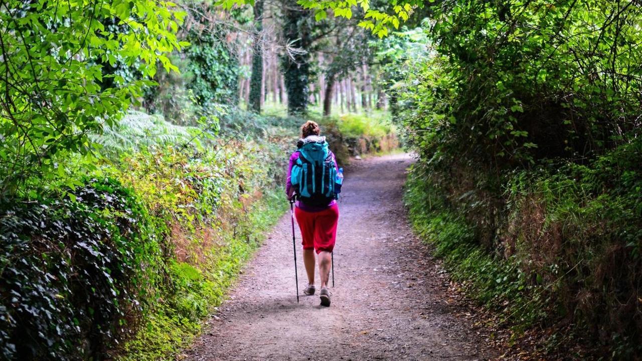 Junge Frau, Pilgerin auf dem Jakobsweg (Camino de Santiago), Galizien, Spanien, Europa | Verwendung weltweit, Keine Weitergabe an Wiederverkäufer. Junge Frau, Pilgerin auf dem Jakobsweg (Camino de Santiago), Galizien, Spanien, Europa | Verwendung weltweit, Keine Weitergabe an Wiederverkäufer.