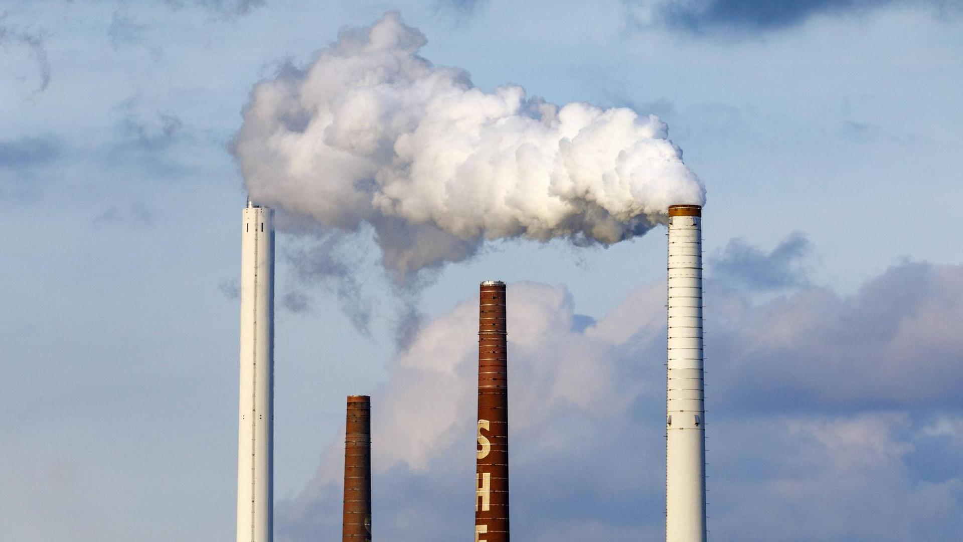 Schornsteine an der Shell Rheinland Raffinerie in Godorf. Köln, 06.05.2019 *** Chimneys at the Shell Rheinland refinery in Godorf Cologne 06 05 2019 Foto:xC.xHardtx/xFuturexImage Schornsteine an der Shell Rheinland Raffinerie in Godorf. Köln, 06.05.2019 *** Chimneys at the Shell Rheinland refinery in Godorf Cologne 06 05 2019 Foto:xC.xHardtx/xFuturexImage
