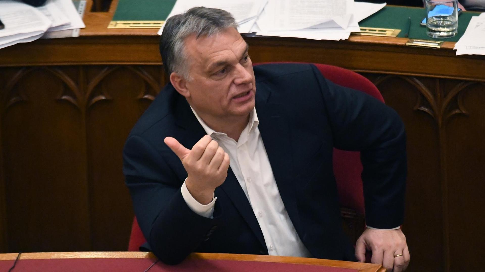 Victor Orbán im Porträt Victor Orbán im Porträt