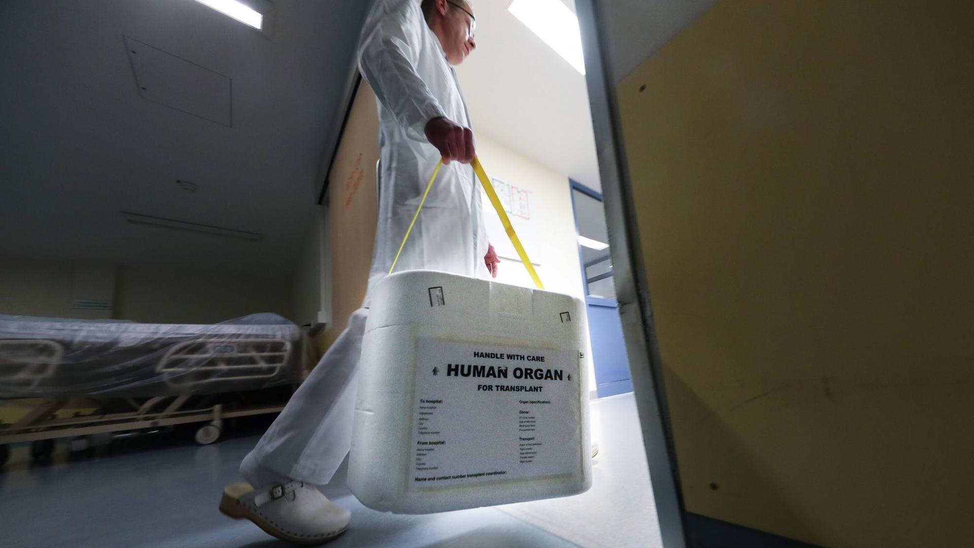 Ein Mitarbeiter der Medizinischen Hochschule Hannover trägt eine Organtransportkiste durch eine Tür. Ein Mitarbeiter der Medizinischen Hochschule Hannover trägt eine Organtransportkiste durch eine Tür.