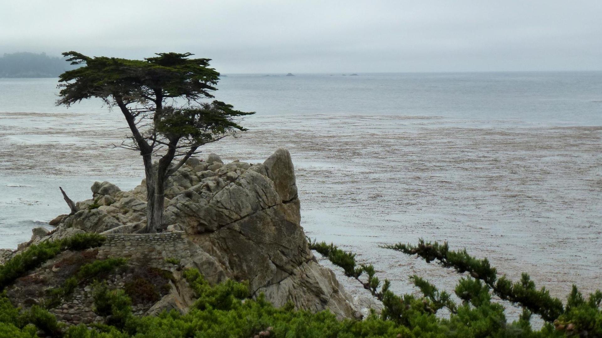 Die Lone Cypress (einsame Zypresse), die auf einem Felsen im Meer wächst ist die Hauptattraktion des 17-Mile Drive bei Monterey in Kalifornien. Die Lone Cypress (einsame Zypresse), die auf einem Felsen im Meer wächst ist die Hauptattraktion des 17-Mile Drive bei Monterey in Kalifornien.