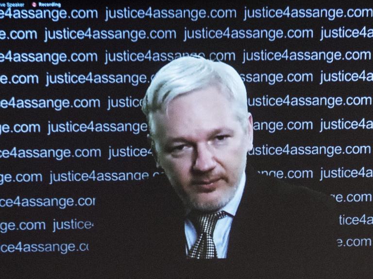 Wikileaks-Gründer Julian Assange spricht nach der Bekanntgabe des UNO-Gutachtens per Videoübertragung auf einer Pressekonferenz.