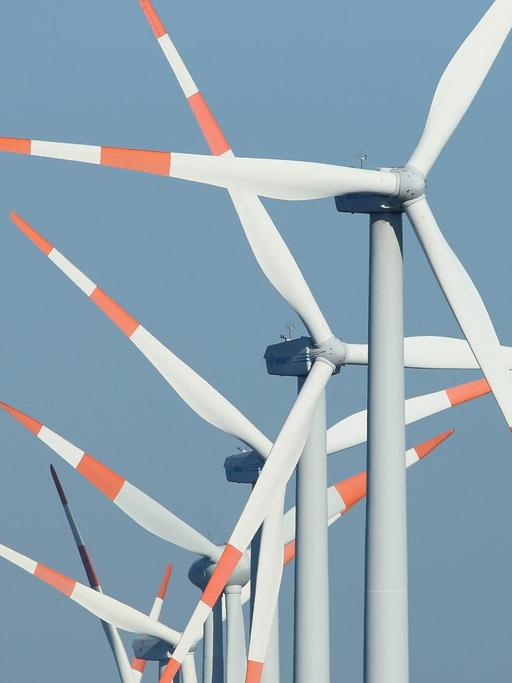 Windkraftanlagen drehen sich in einem Windpark bei Neubrandenburg.