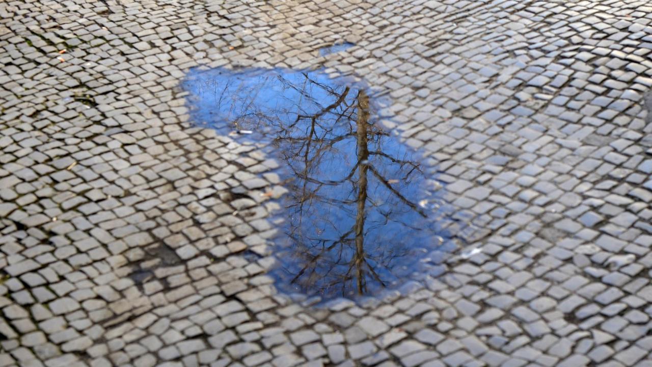 In einer Pfütze spiegeln sich in Berlin Neukölln auf dem Gehweg aus Pflastersteinen in der Weisestraße im Schillerkiez der blaue Himmel und Teile von einem Baum sowie Zweige. In einer Pfütze spiegeln sich in Berlin Neukölln auf dem Gehweg aus Pflastersteinen in der Weisestraße im Schillerkiez der blaue Himmel und Teile von einem Baum sowie Zweige.