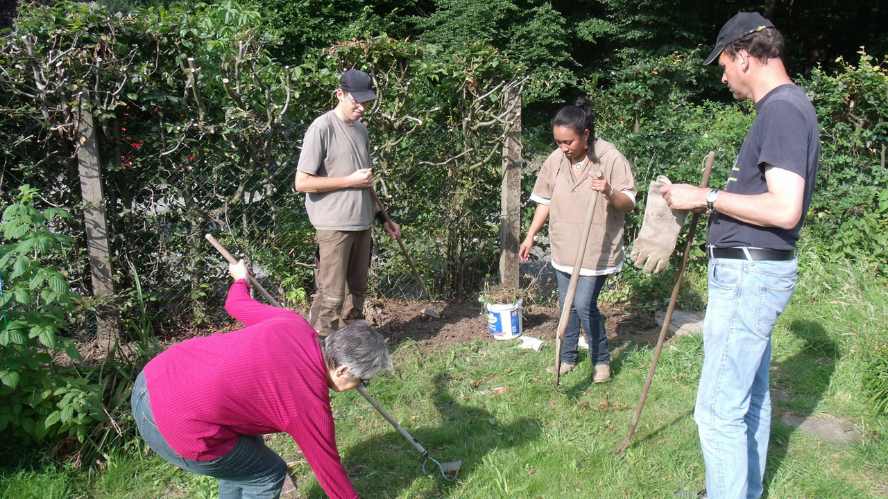 Arbeiten im Schrebergarten Arbeiten im Schrebergarten