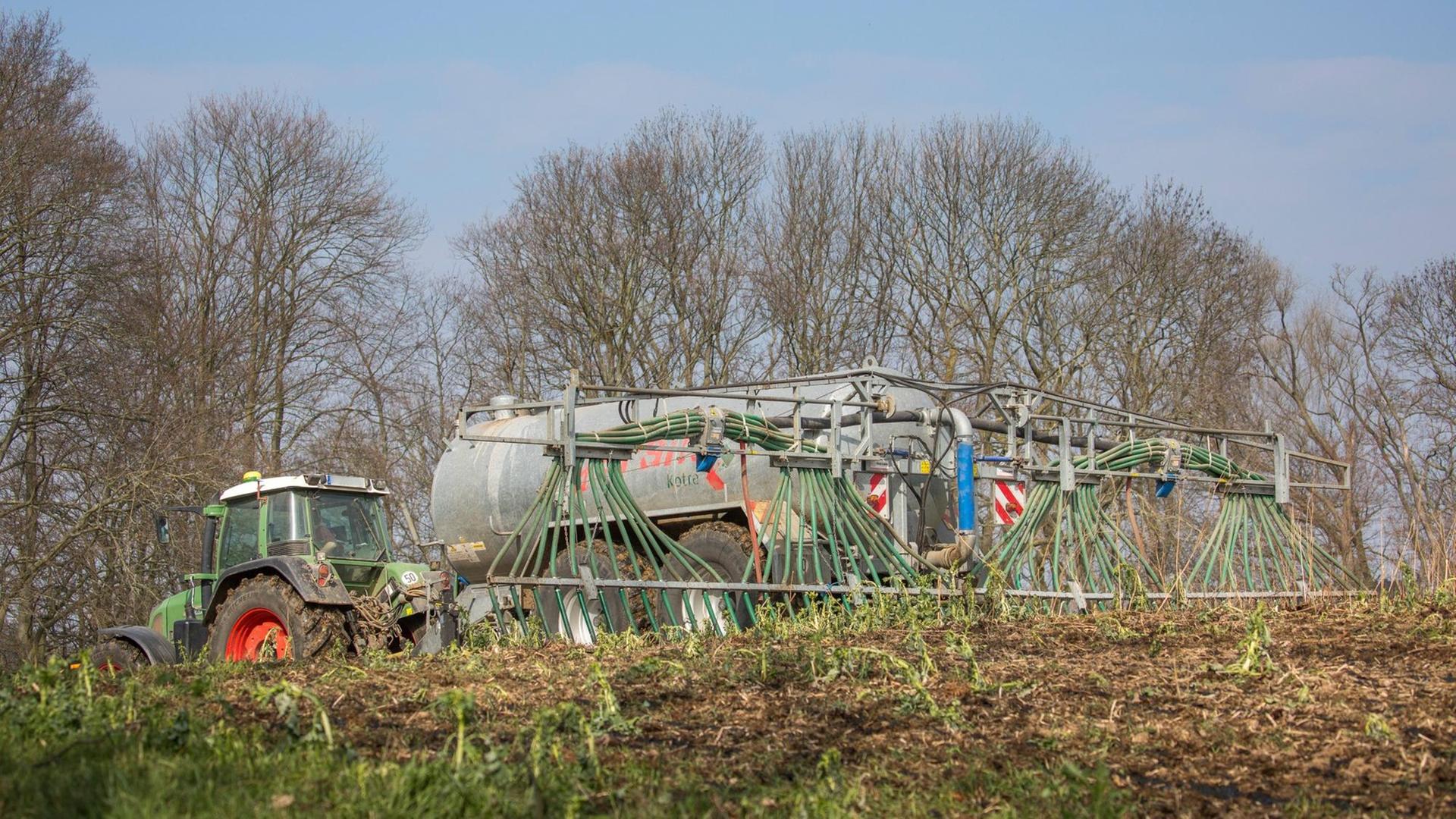 Ein Traktor verteilt aus Düsen Wirtschaftsdünger auf einem Feld. Im Hintergrund ist Wald zu sehen. Ein Traktor verteilt aus Düsen Wirtschaftsdünger auf einem Feld. Im Hintergrund ist Wald zu sehen.