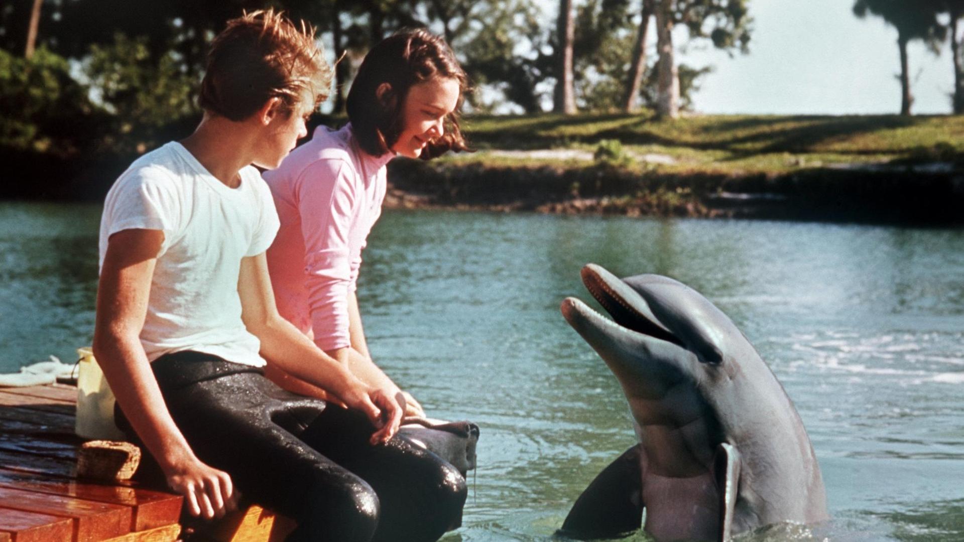 Eine Filmszene aus der beliebten Tierfilmserie "Flipper". Eine Filmszene aus der beliebten Tierfilmserie "Flipper".