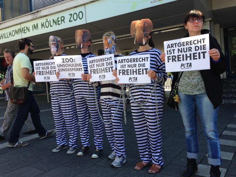 PeTA-Aktivisten stehen vor dem Kölner Zoo mit Schildern "Artgerecht ist nur die Freiheit".