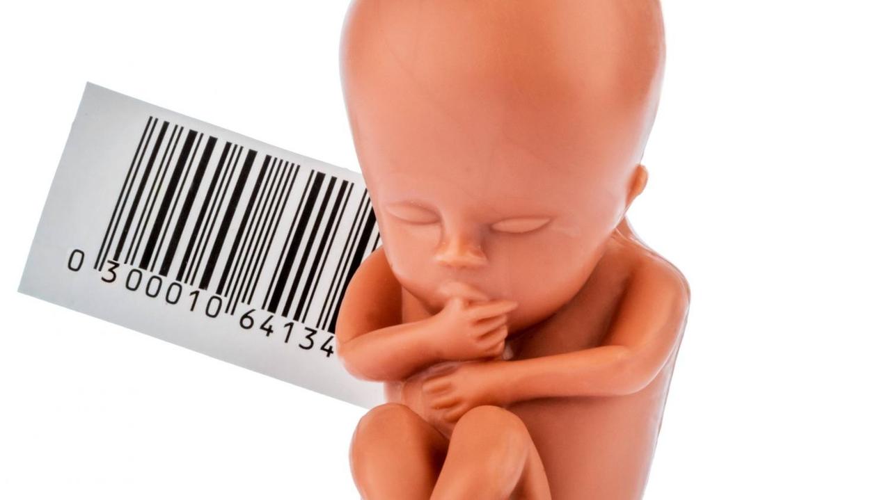 Ein 12-Wochen alter Embryo aus Plastik mit Strichcode. (Symbolfoto)