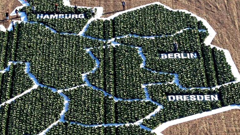 Eine Deutschlandkarte ist auf einem Kohlfeld abgebildet. Eine Deutschlandkarte ist auf einem Kohlfeld abgebildet.