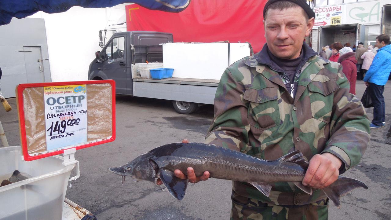 Weißrussland: Fisch ist auf dem Markt nur noch zu Fantasiepreisen zu haben Weißrussland: Fisch ist auf dem Markt nur noch zu Fantasiepreisen zu haben