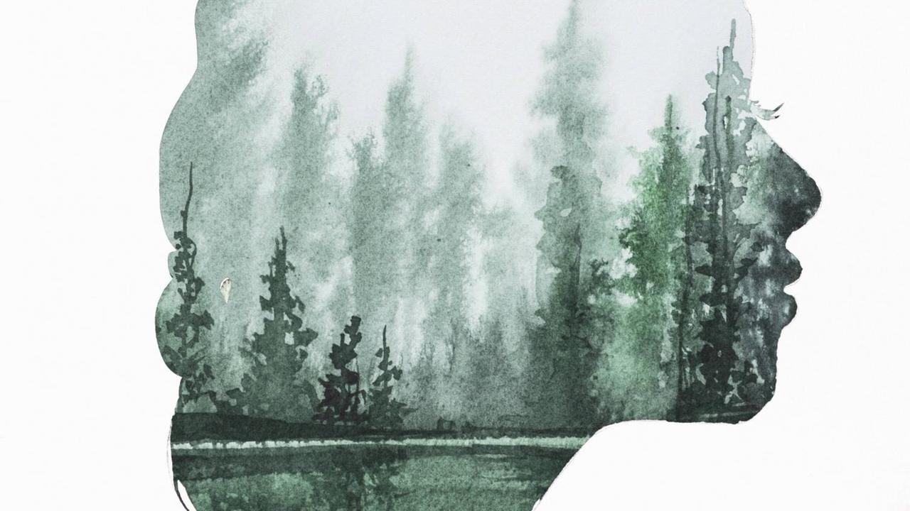 Die Illustration einer Waldlandschaft im Kopf einer Frau. Die Illustration einer Waldlandschaft im Kopf einer Frau.