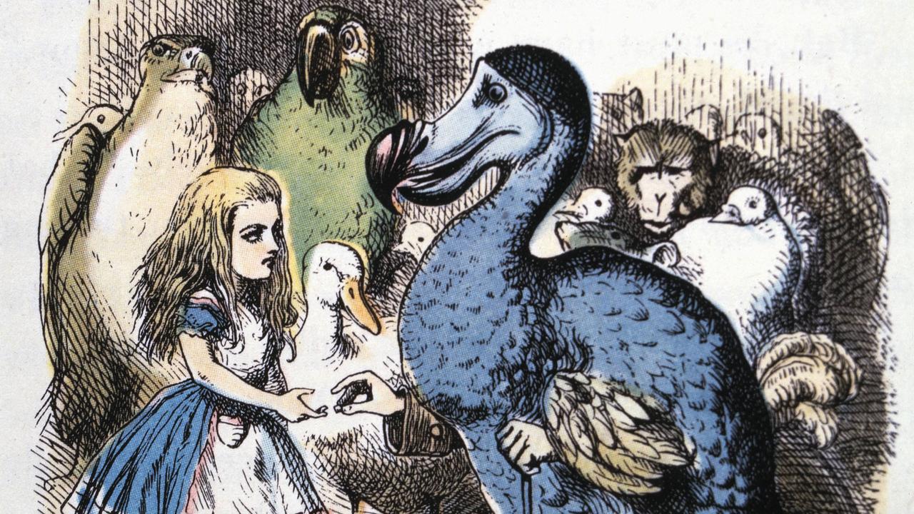 Illustration aus "Alice and the Dodo, Alice's Adventure in Wonderland" von Lewis Carroll. 