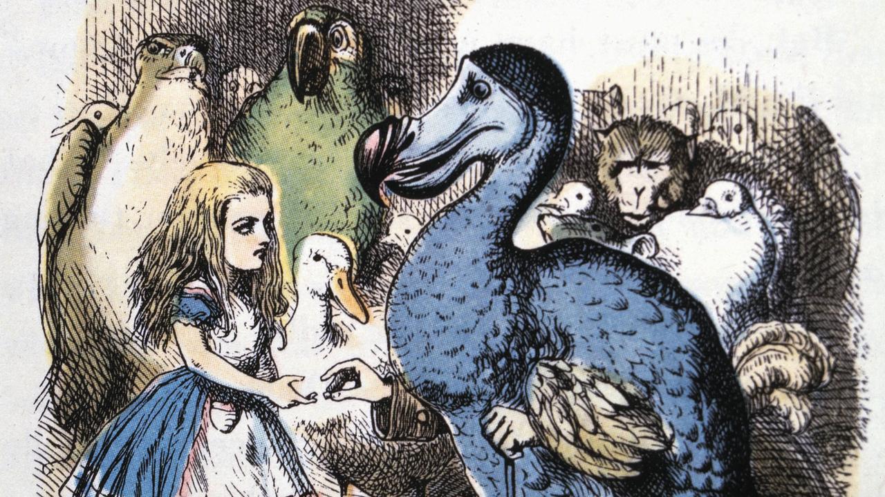 Illustration aus "Alice and the Dodo, Alice's Adventure in Wonderland" von Lewis Carroll. Illustration aus "Alice and the Dodo, Alice's Adventure in Wonderland" von Lewis Carroll.