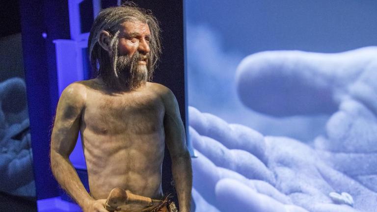Eine Nachbildung des Ötzi im MehlWelten-Museum. Eine Nachbildung des Ötzi im MehlWelten-Museum.