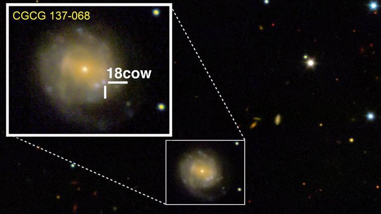 Die Supernova AT2018cow Die Supernova AT2018cow