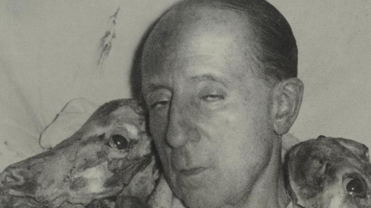 Leider liegt für dieses Bild keine Bildbeschreibung vor Leider liegt für dieses Bild keine Bildbeschreibung vor