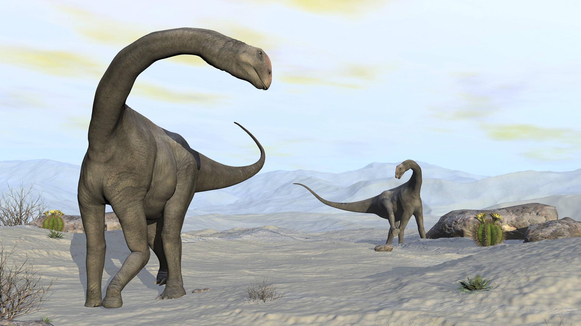 Grafische Darstellung eines Brontomerus Grafische Darstellung eines Brontomerus