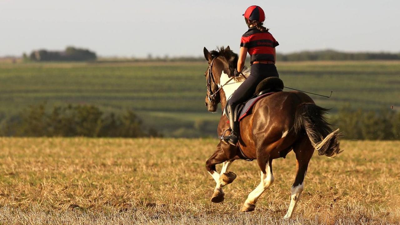 Ein Mädchen beim Reitsport. Ein Mädchen beim Reitsport.
