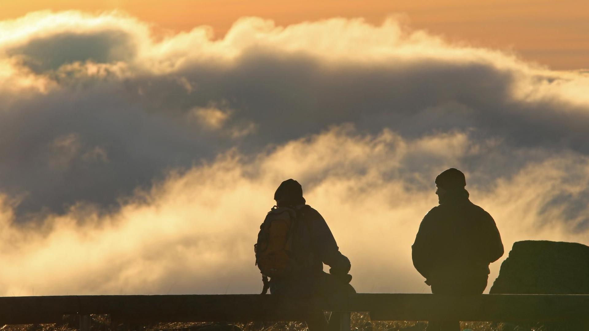 Wanderer gehen am 30.12.2015 über die Brockenkuppe. Wanderer gehen am 30.12.2015 über die Brockenkuppe.