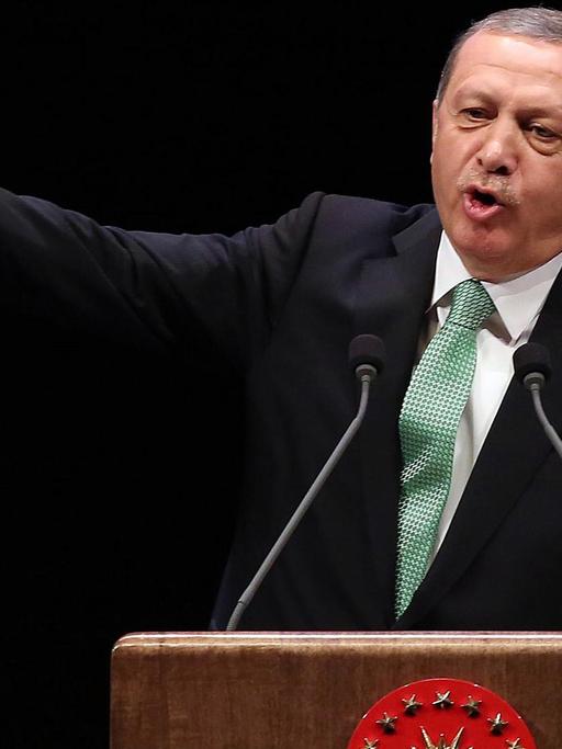 Der türkische Präsident Recep Tayyip Erdogan bei einer Rede in Ankara
