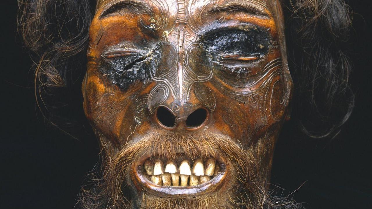 Ein Mumien-Schädel von einem Maori-Mann. Ein Mumien-Schädel von einem Maori-Mann.