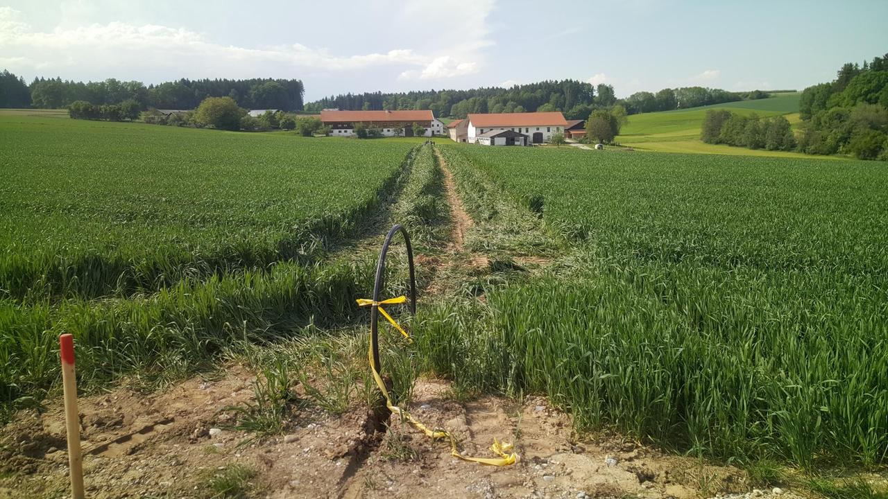 Der Anfang eine Kabel ist auf einem Acker zu sehen Der Anfang eine Kabel ist auf einem Acker zu sehen