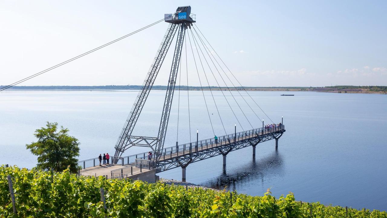 Seebrücke und Weinhänge am Großraeschener See. Seebrücke und Weinhänge am Großraeschener See.