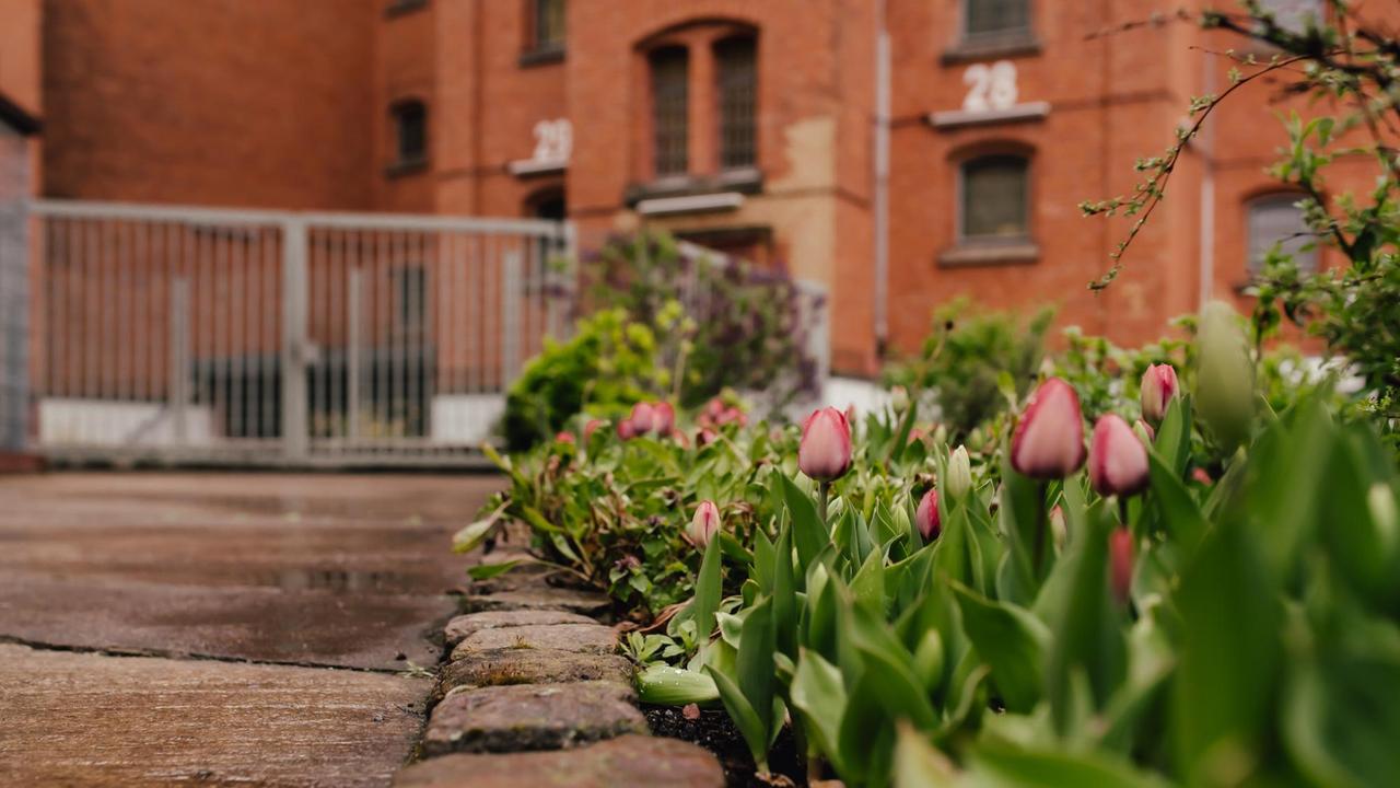 Im Vordergrund ein Beet mit Tulpen, im Hintergrund das Gefängnisgebäude