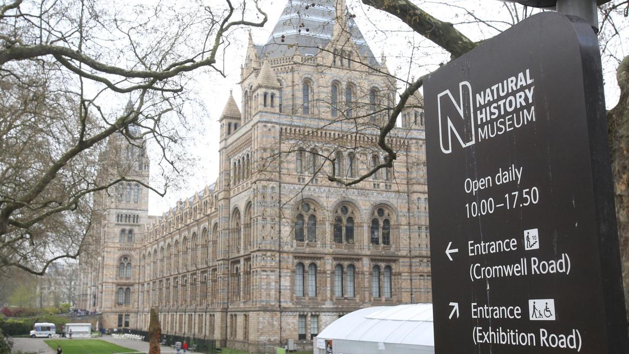 Das Foto zeigt das Naturkundemuseum (Natural History Museum) in London (Großbritannien), aufgenommenam 02.04.2014. 
