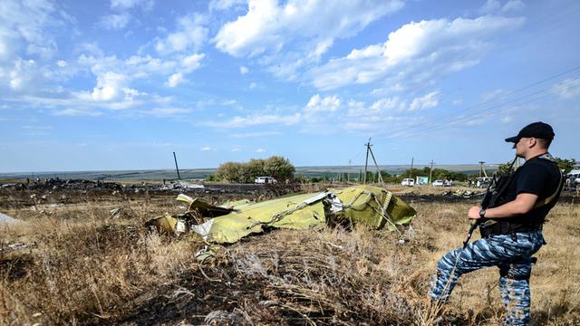Ein pro-russischer Kämpfer bewacht die Absturzstelle des Flugs MH17 bei Donezk.