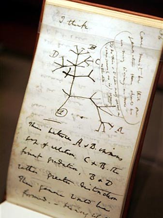 Blick in Charles Darwins Notibuch "B notebook" mit der legendären Zeile "I Think" Blick in Charles Darwins Notibuch "B notebook" mit der legendären Zeile "I Think"