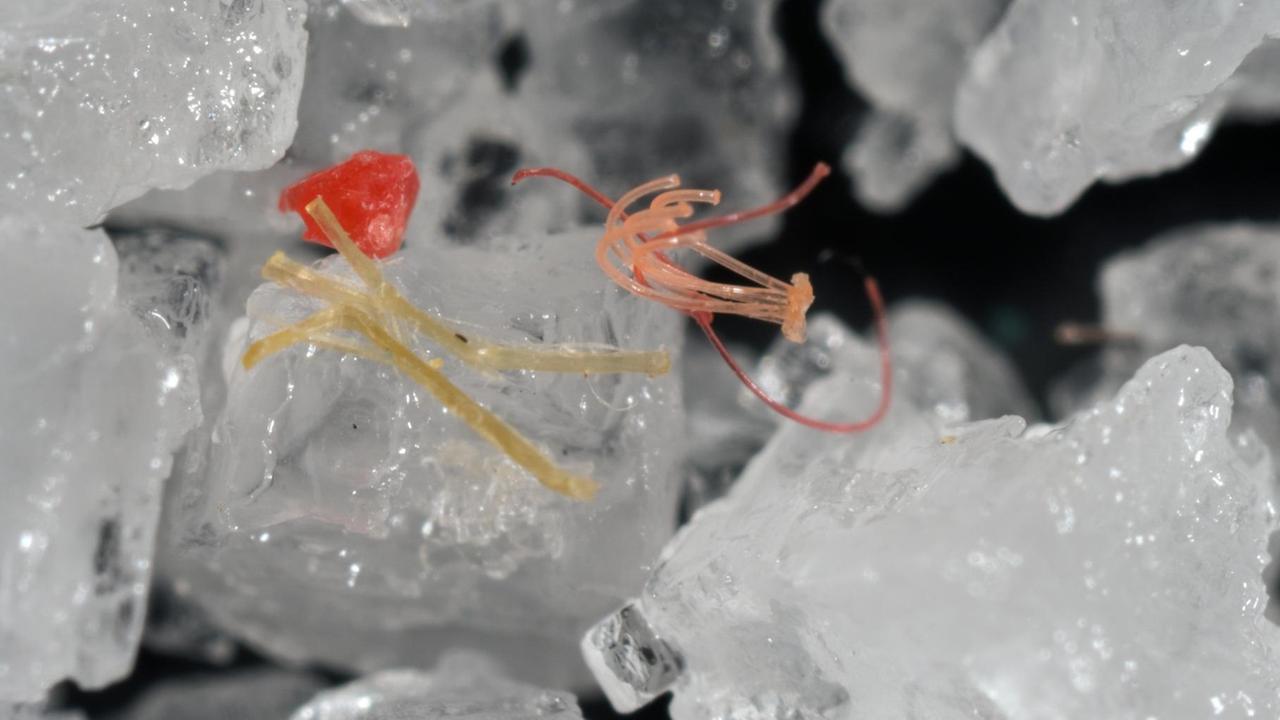 Mikroplastik zwischen Salzkristallen Mikroplastik zwischen Salzkristallen