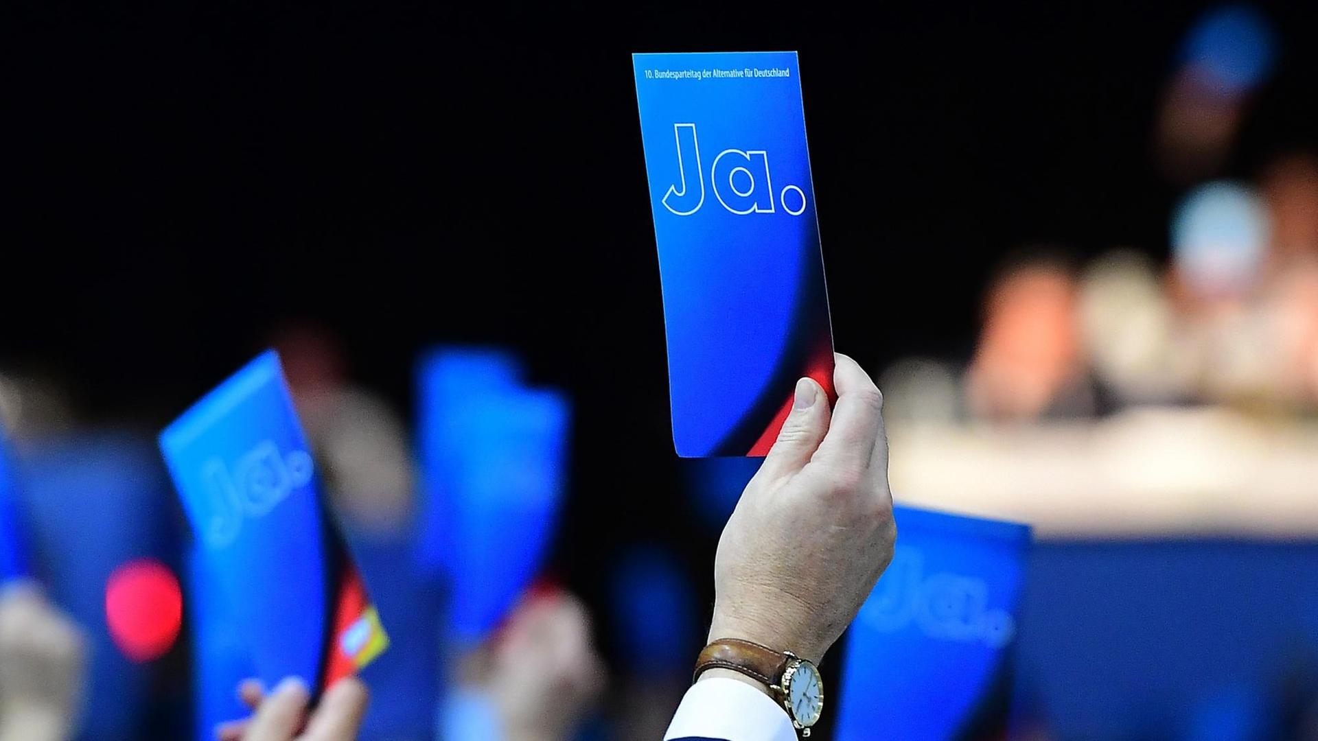 AfD-Bundesparteitag am 30.11.2019 in der Volkswagen Halle in Braunschweig AfD-Bundesparteitag am 30.11.2019 in der Volkswagen Halle in Braunschweig