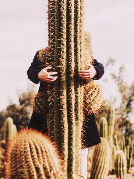 Eine nicht sichtbare Person umarmt einen meterhohen Kaktus.