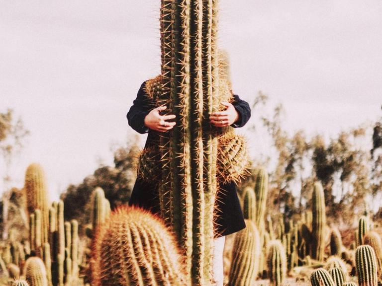 Eine nicht sichtbare Person umarmt einen meterhohen Kaktus.