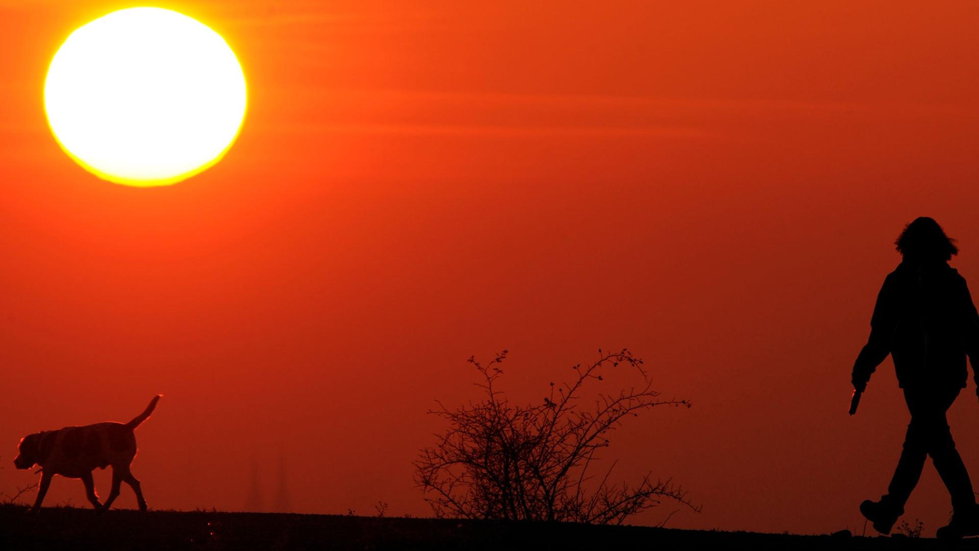 Eine Frau geht während des Sonnenunterganges mir ihrem Hund spazieren. Eine Frau geht während des Sonnenunterganges mir ihrem Hund spazieren.