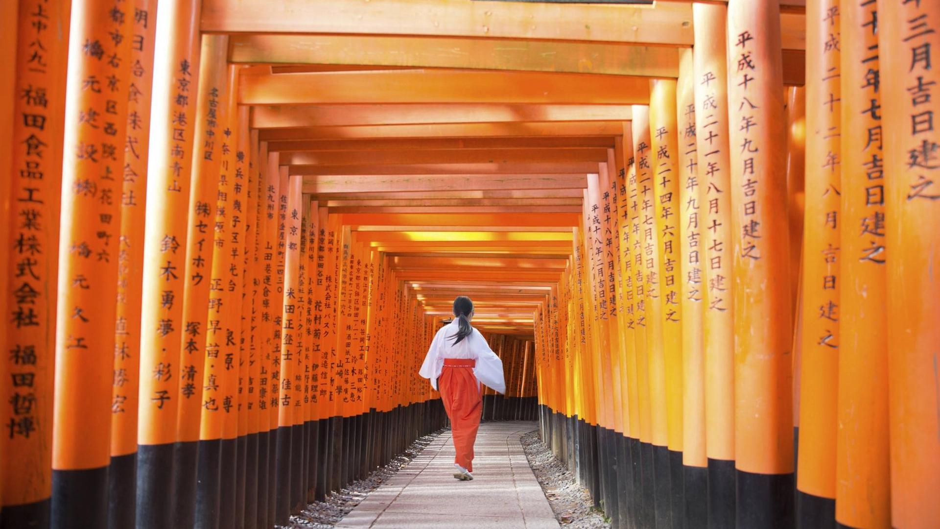 Eine Frau geht durch eine Reihe Torii, Eingangstore eines Shinto-Schreins Eine Frau geht durch eine Reihe Torii, Eingangstore eines Shinto-Schreins