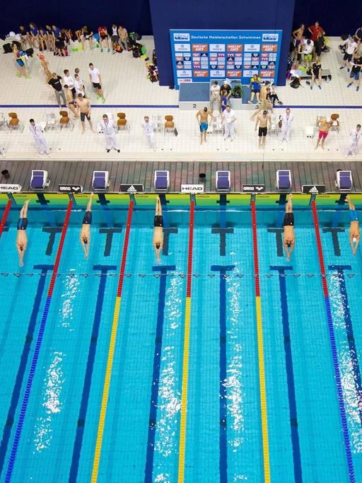 Schwimmhalle im Europa-Sportpark in Berlin während der Deutschen Meisterschaften, Blick von oben auf das Becken.