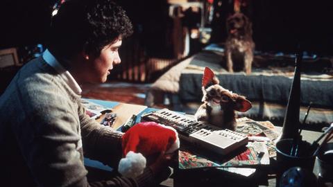 Schauspieler Zach Galligan als Billie Peltzer im Film "Gremlins" (USA 1984)