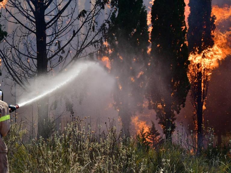 Ein Feuerwehrmann bekämpft mit einem Löschschlauch einen Waldbrand.